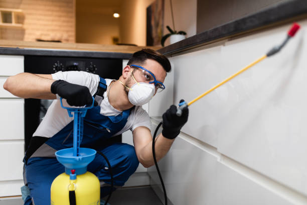 Best Best Pest Control Companies  in State Line, PA