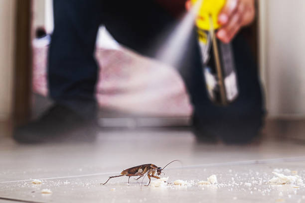 Pest Control for Restaurants in State Line, PA