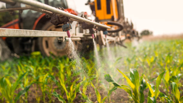 Best Mosquito Control Services  in State Line, PA
