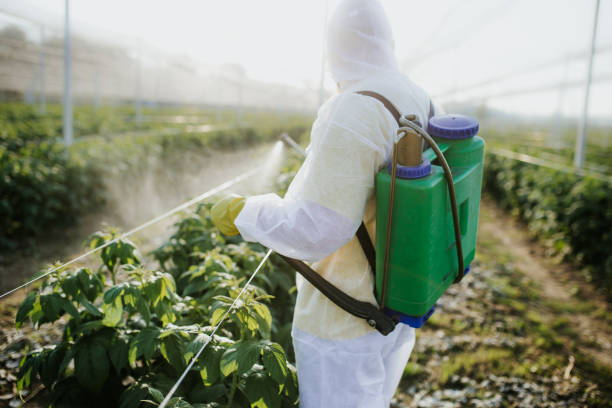 Best Pest Control Near Me  in State Line, PA